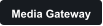 Media Gateway