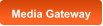Media Gateway